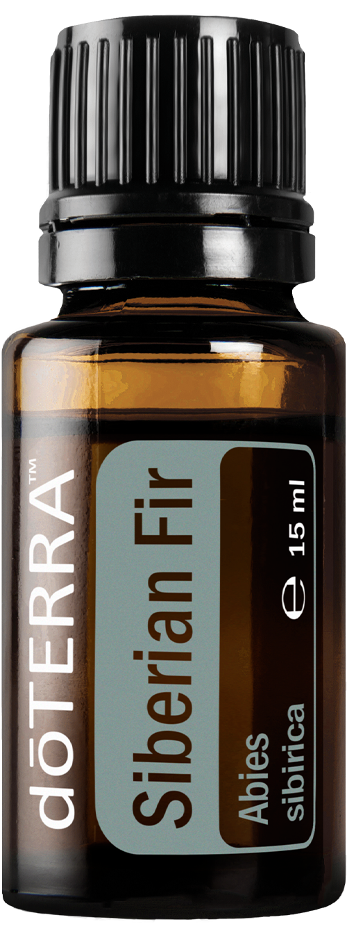 Siberian Fir 15 ml