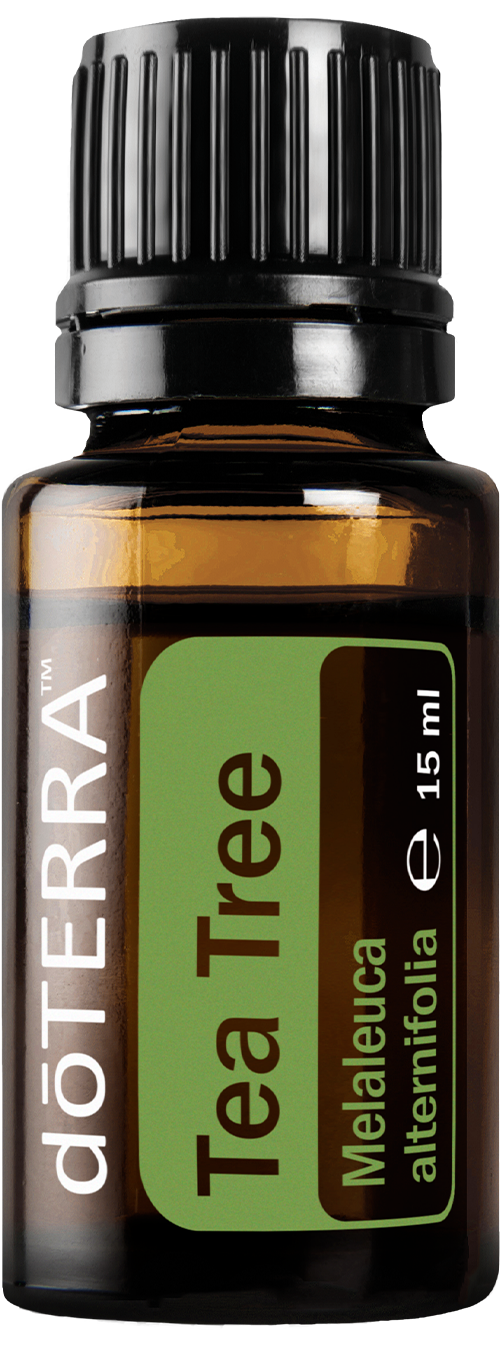 Tea Tree (Melaleuca) — doTERRA termékfotó